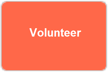 3.Volunteer.png
