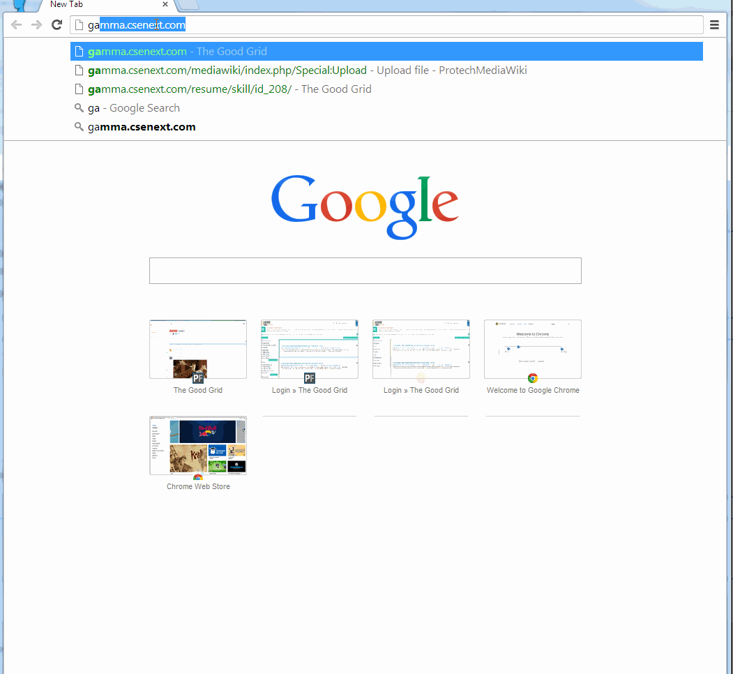 SearchingPagePPT.gif