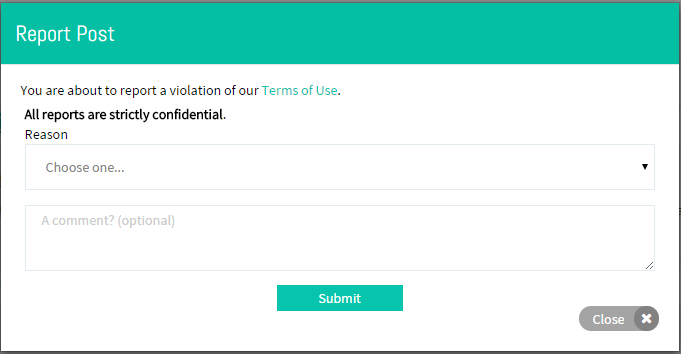 13.Report.png