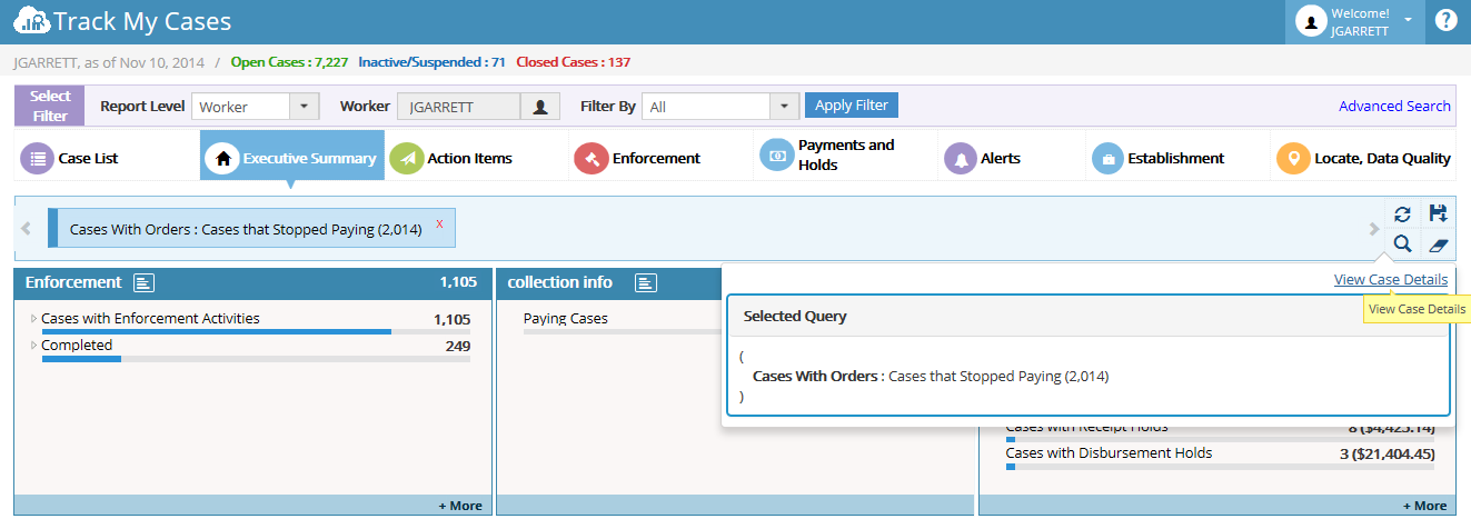 Query panel.png