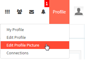Pp1.png