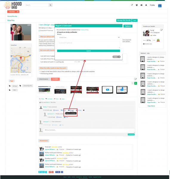 File:Report comment.png