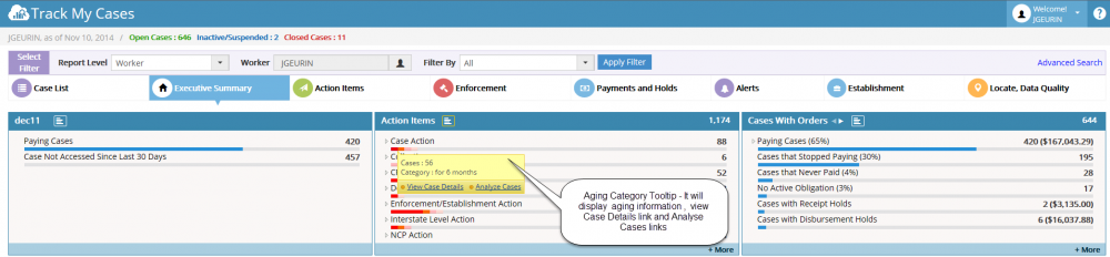 Aging category tool tip.png