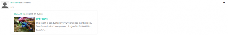File:17.1.Report op1.png