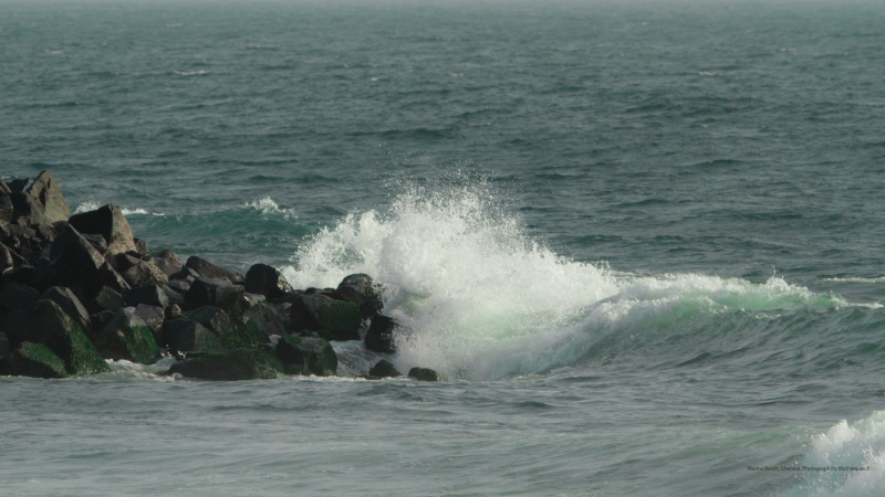 File:Pro.jpg