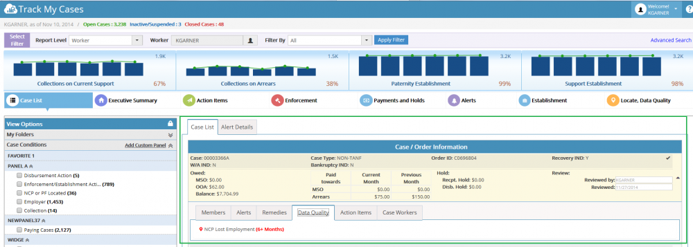 Case List Data Quality Tab.png