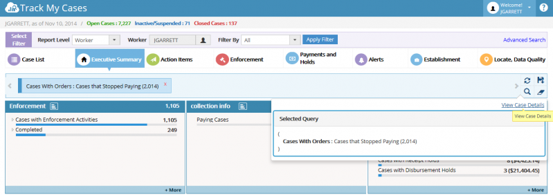 File:Query panel.png